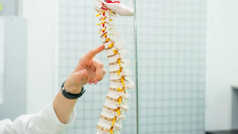 Clinician pointing to a spine model