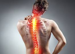 physical therapy for herniated disc